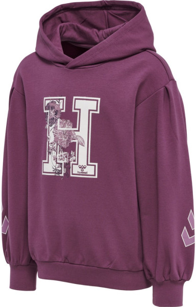 Hummel Kinder Hoodie Hmlastrology 214573