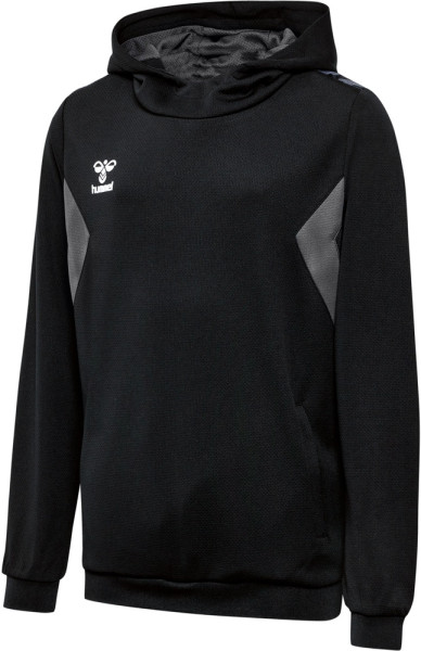 Hummel Kinder Hoodie Hmlauthentic Pl Kids 219977