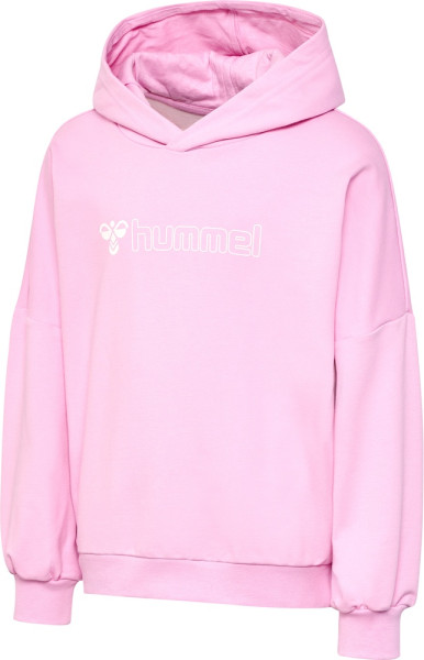 Hummel Sweatshirts & hoodies Hmloctova Hoodie