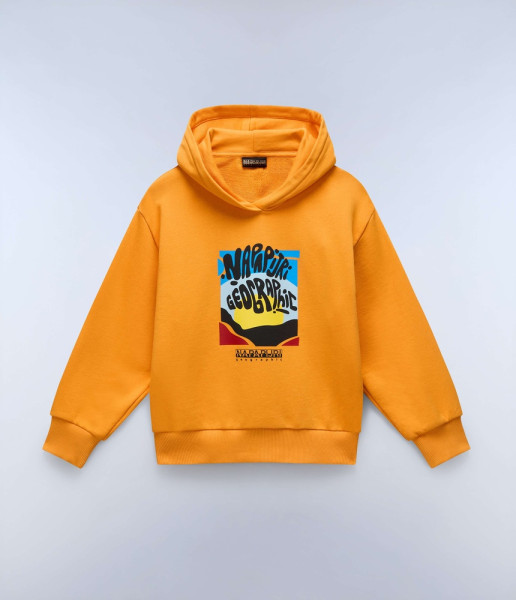 Napapijri Kinder Sweatshirt K B-Sella H NP0A4IGN