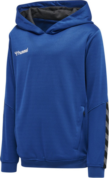 Hummel Kinder Hoodie Hmlauthentic Kids Poly 204931