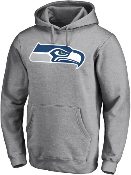 Seattle Seahawks Essentials Graphic Hoodie 5021728